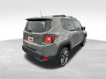 2019 Jeep Renegade Limited